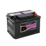 EXIDE EVOLUTION SSAGM66EU 36 MONTH WARRANTY AGM BATTERY .