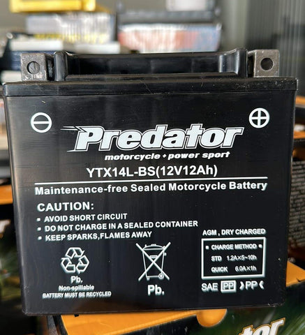 PREDATOR YTX14L-BS -12 MONTH WARRANTY MOTORCYCLE BATTERY.